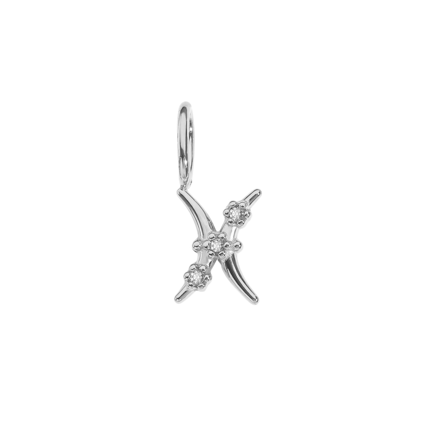 Starlit Zodiac Charm