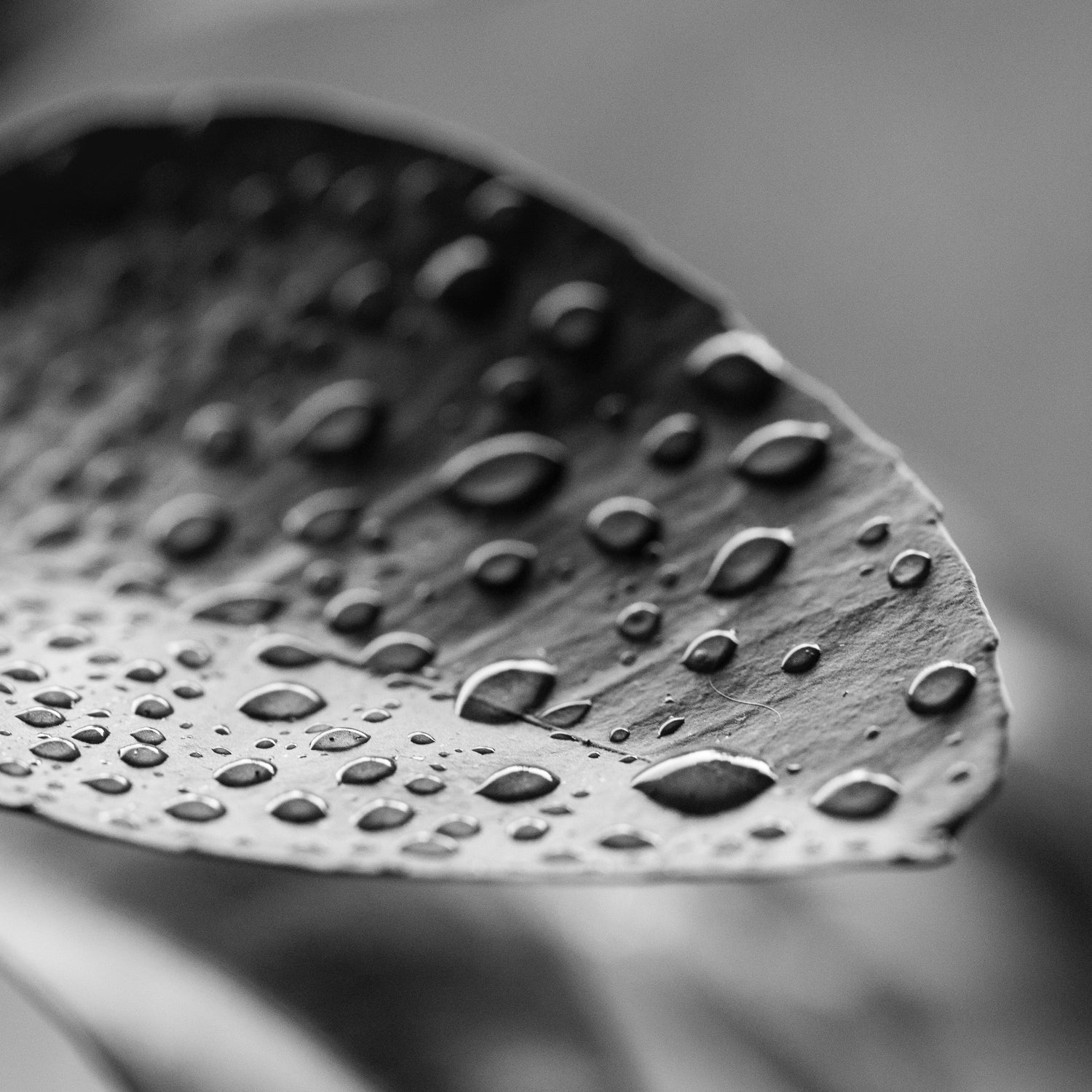 The Aura of Persistence