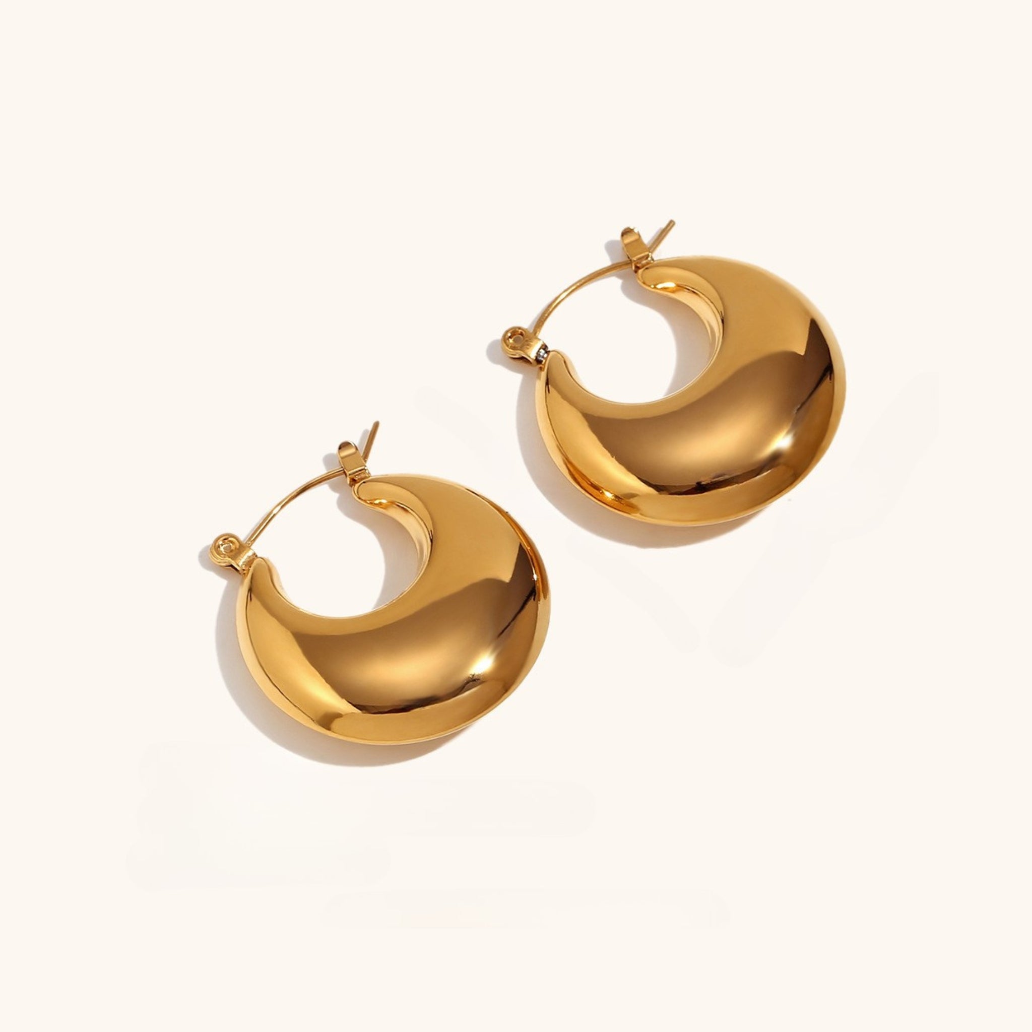 Disc Hoop Earrings