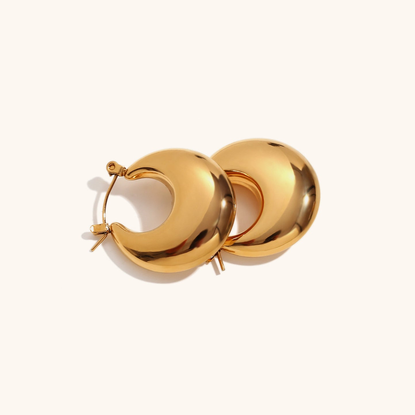 Disc Hoop Earrings