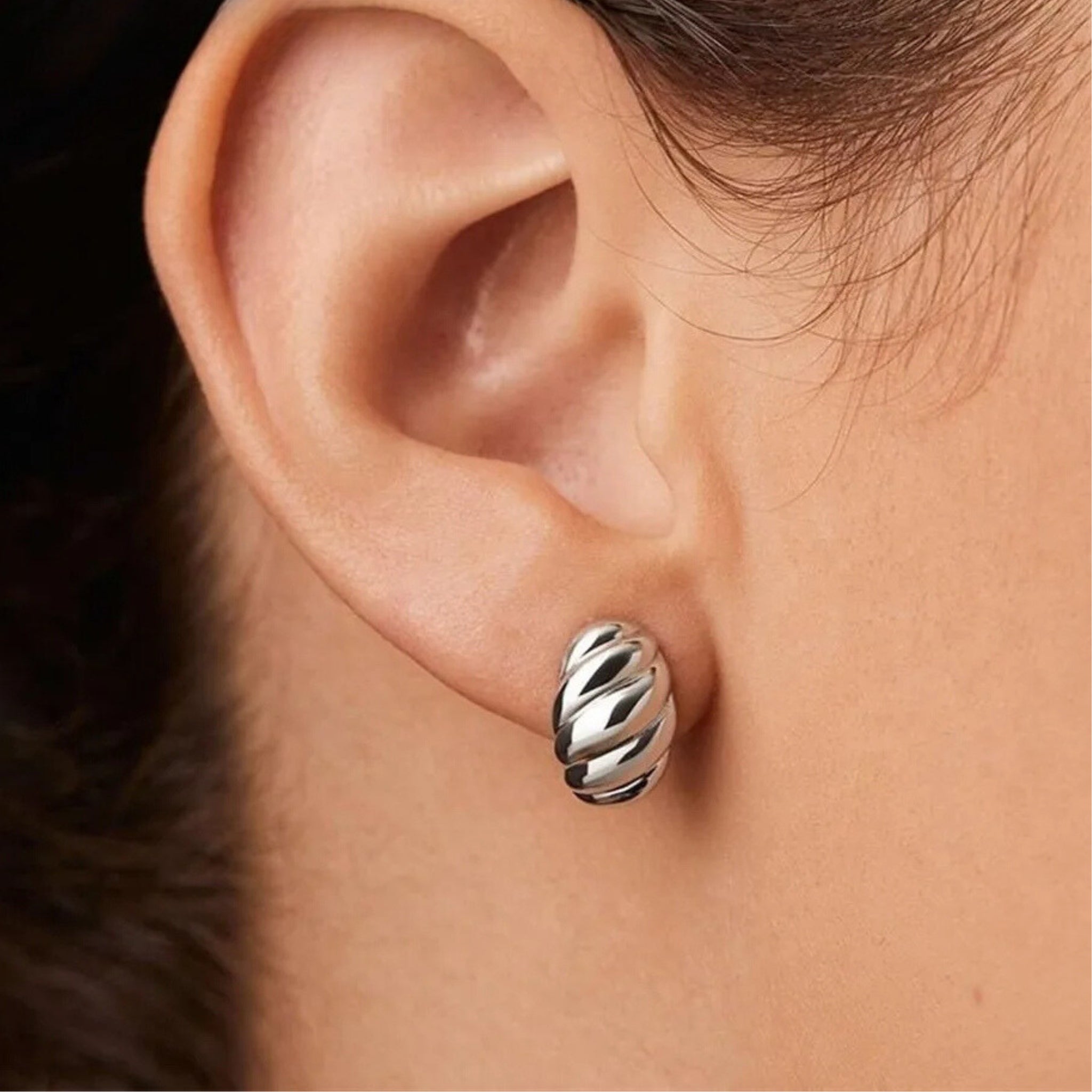 Stainless Steel Hypoallergenic Waterproof Tarnish Free Waterproof Sweatproof No-Fade Leaflet Stud Earrings The Aura