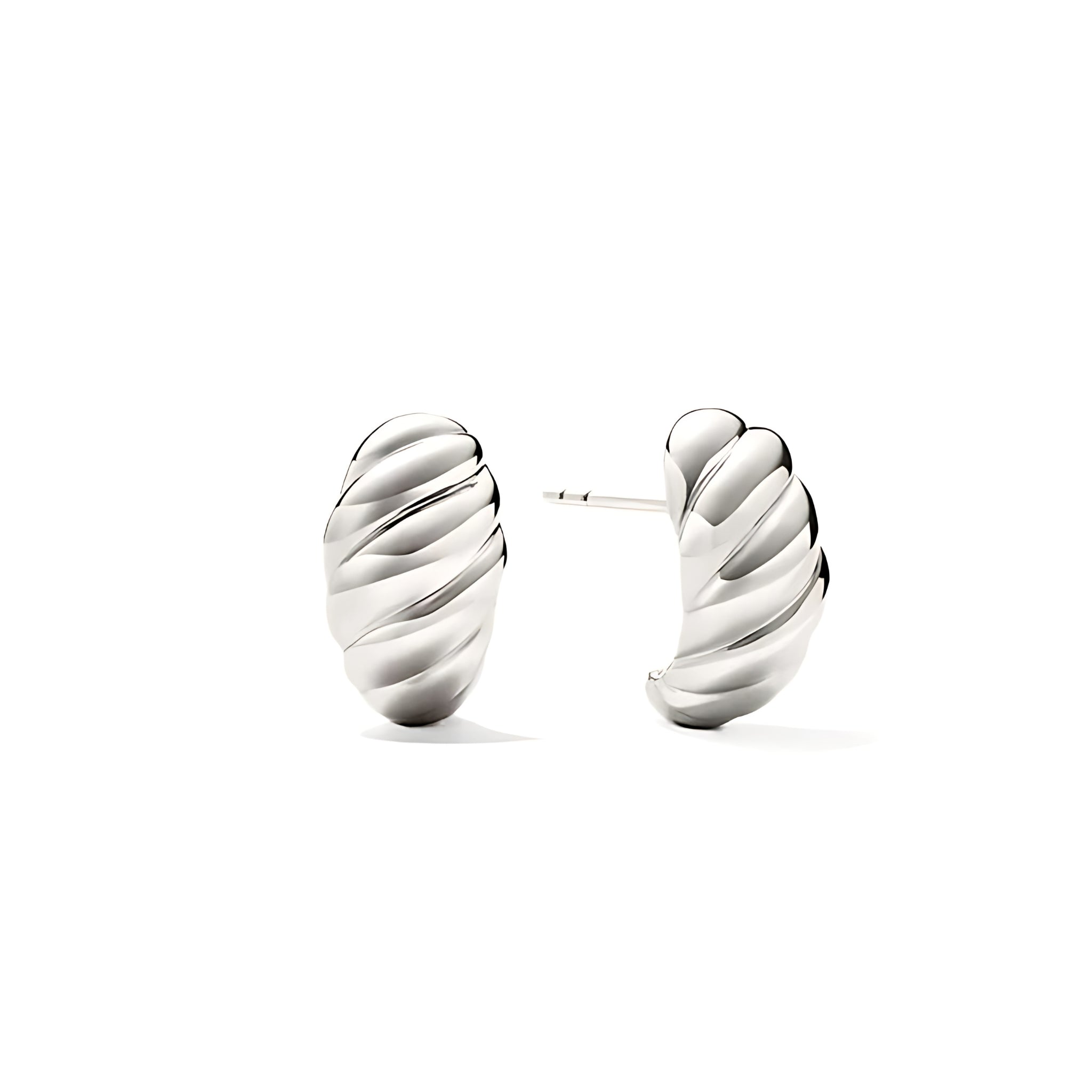 Stainless Steel Hypoallergenic Waterproof Tarnish Free Waterproof Sweatproof No-Fade Leaflet Stud Earrings The Aura