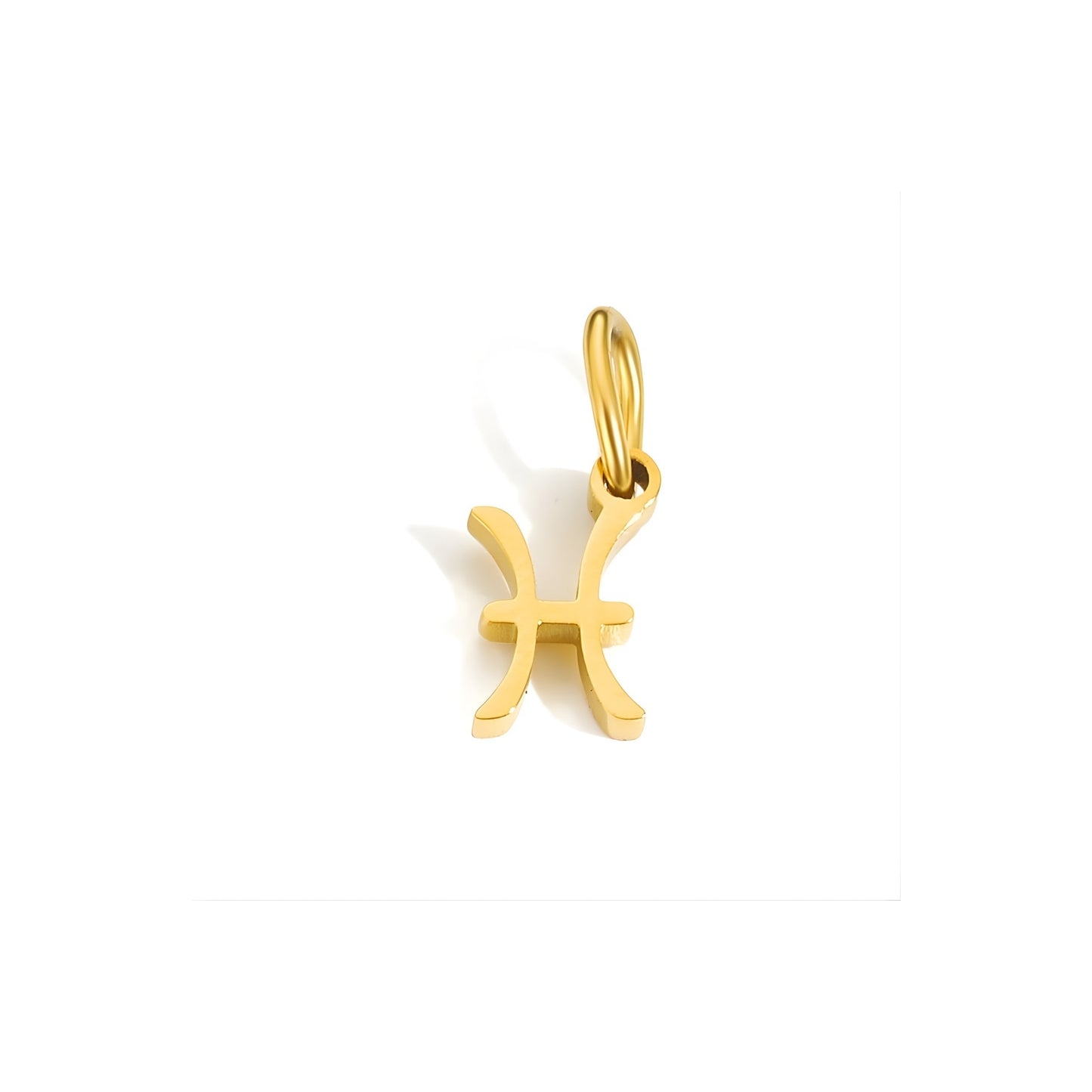 Signature Zodiac Charm