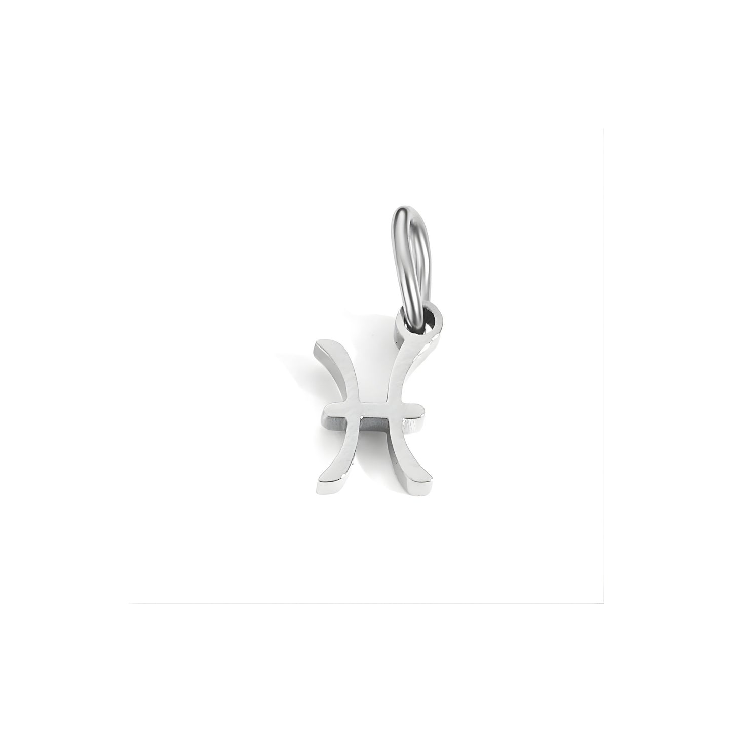 Signature Zodiac Charm