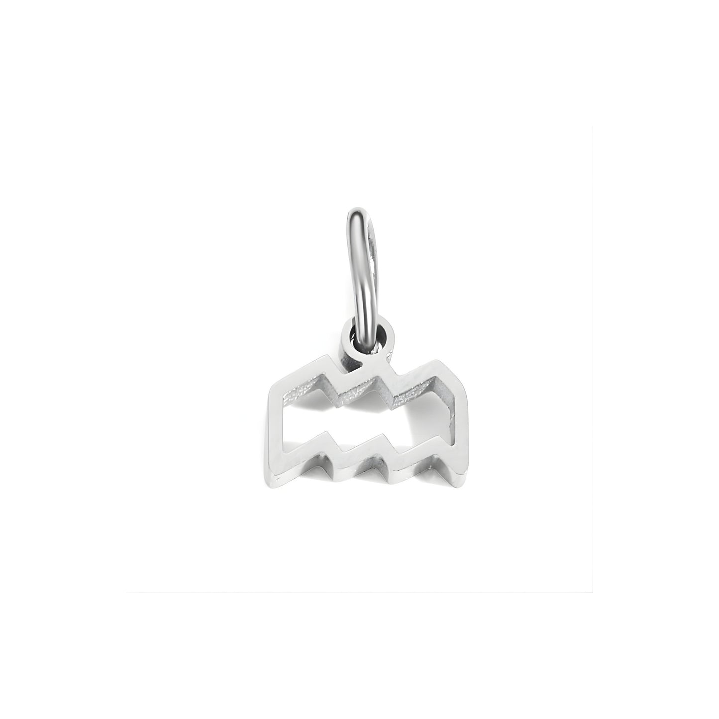 Signature Zodiac Charm