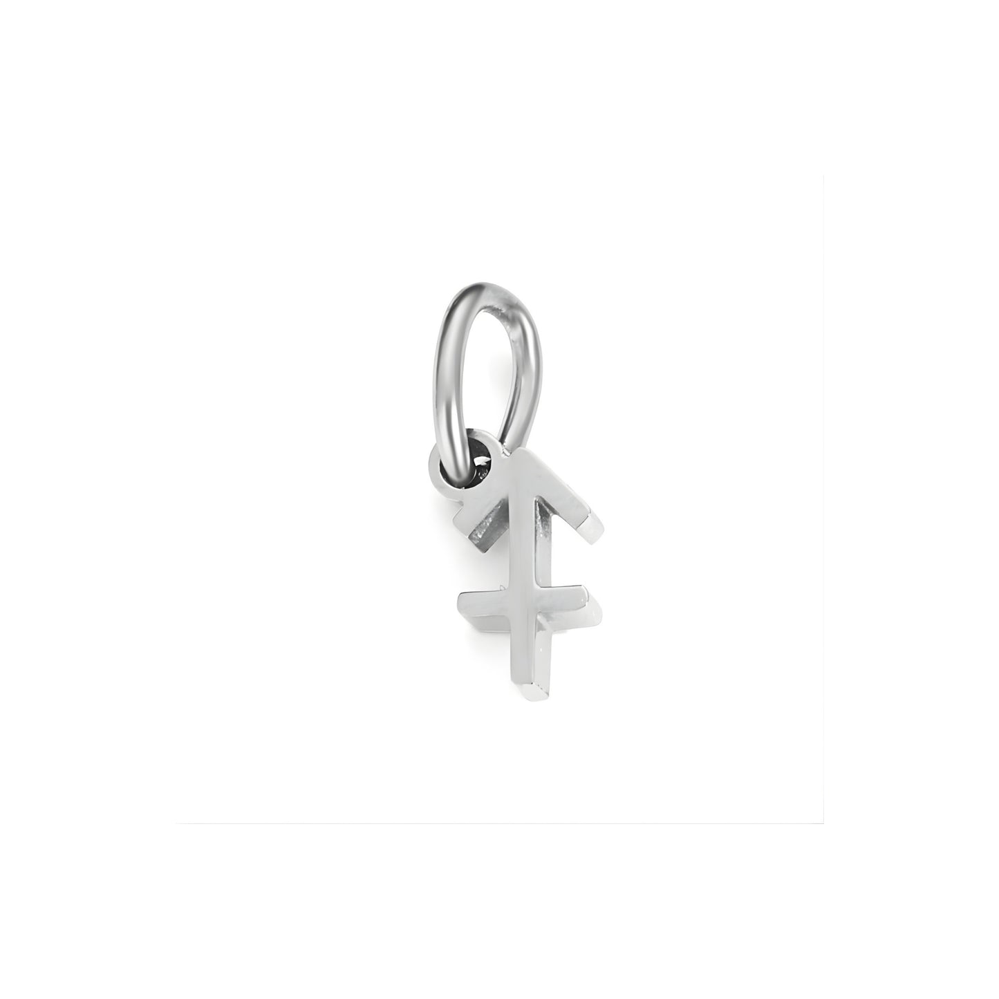 Signature Zodiac Charm
