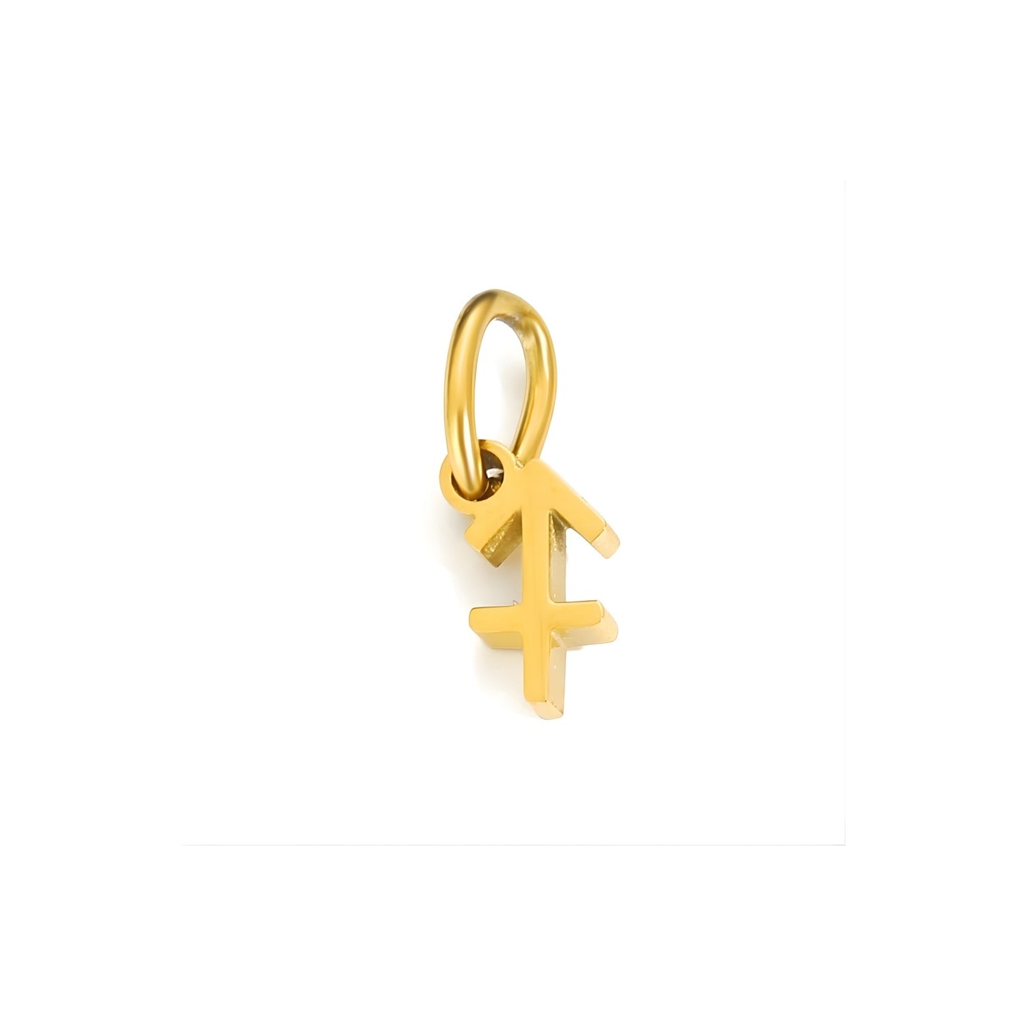 Signature Zodiac Charm