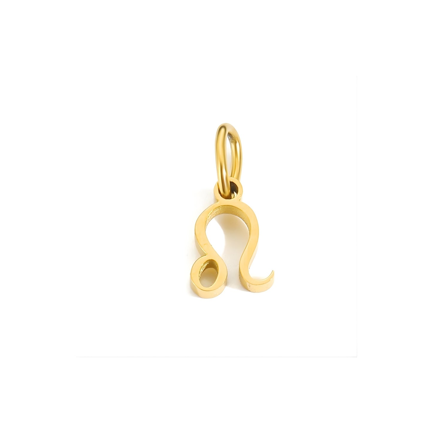 Signature Zodiac Charm
