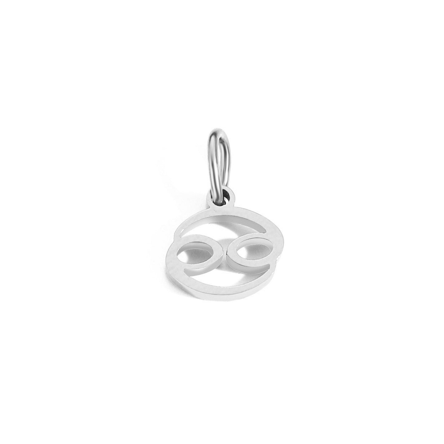 Signature Zodiac Charm