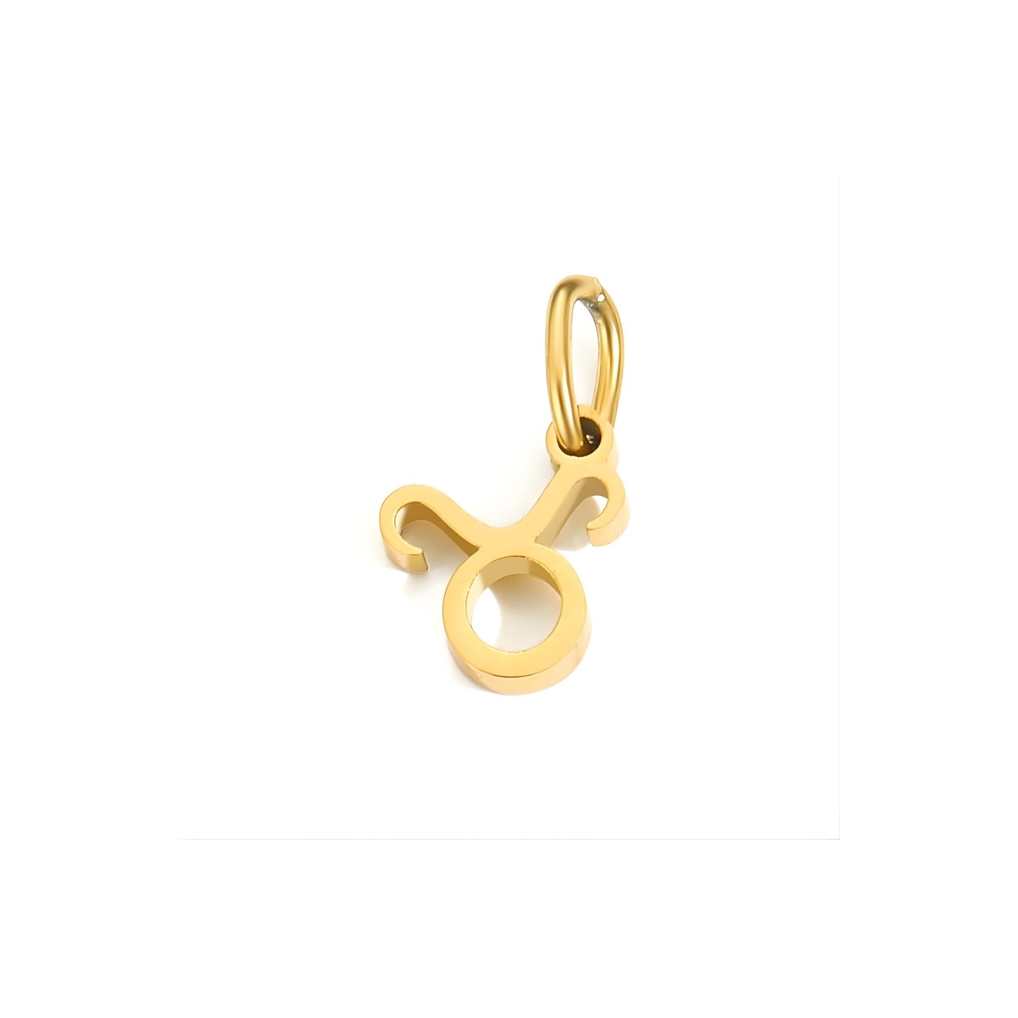 Signature Zodiac Charm