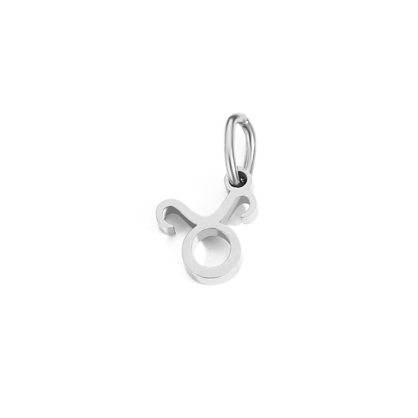 Signature Zodiac Charm