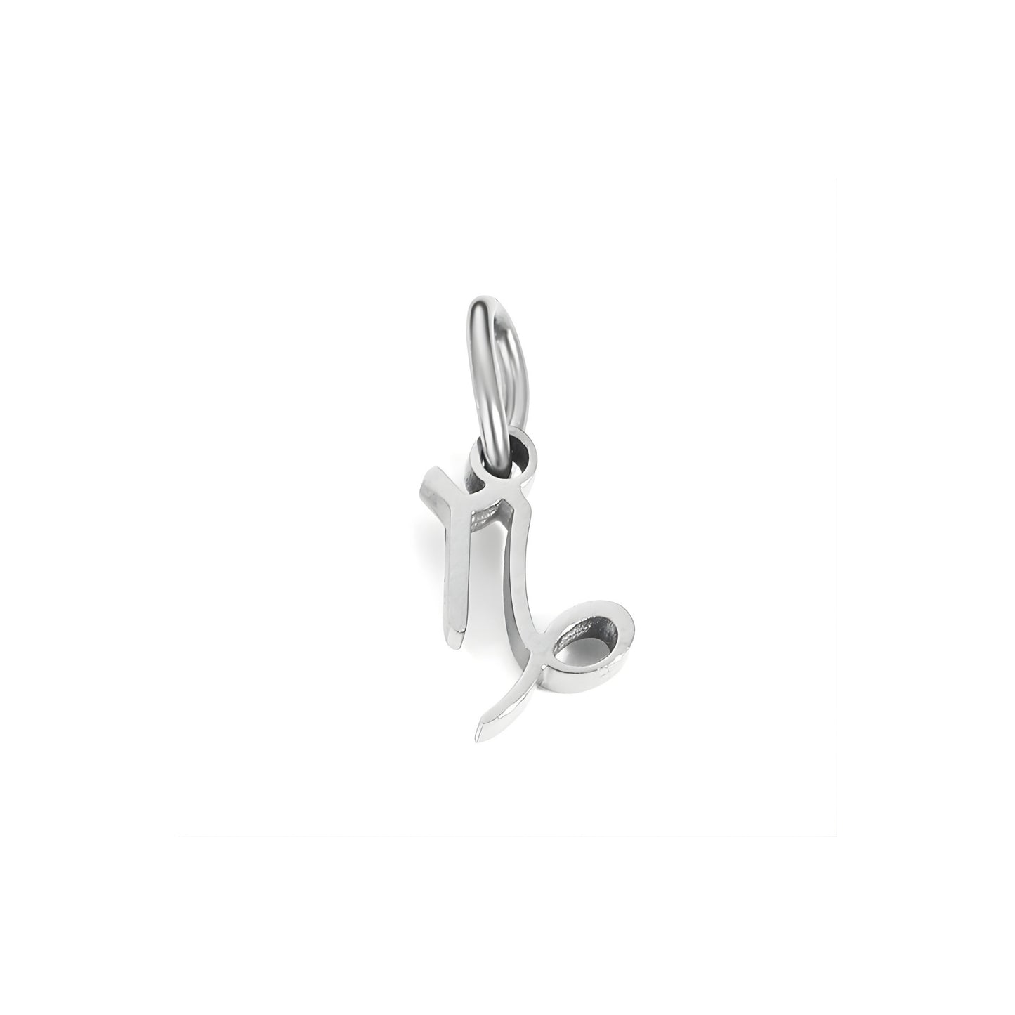 Signature Zodiac Charm