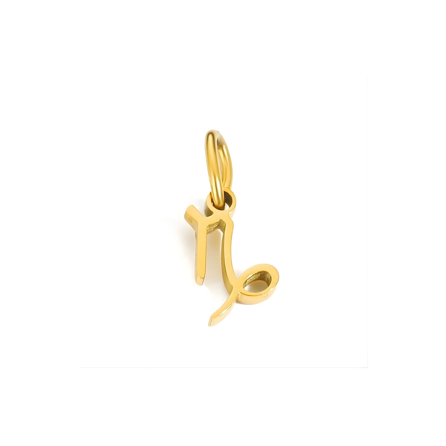 Signature Zodiac Charm
