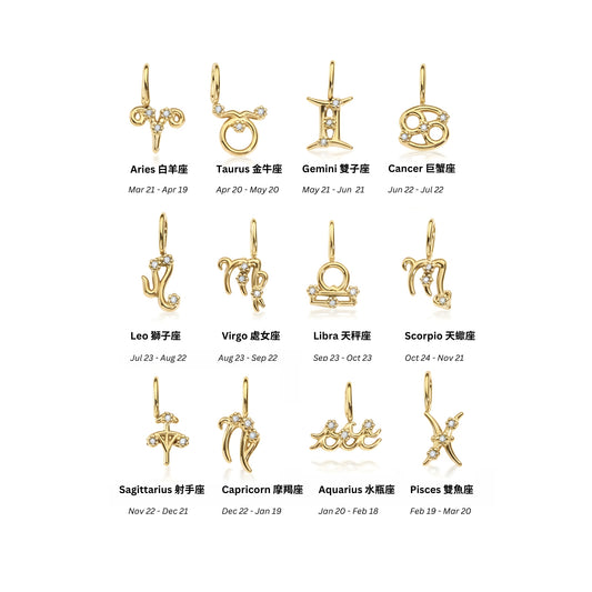 Starlit Zodiac Charm