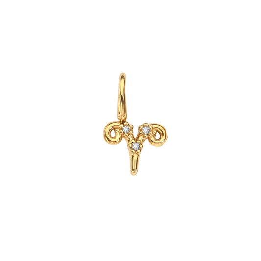 Starlit Zodiac Charm